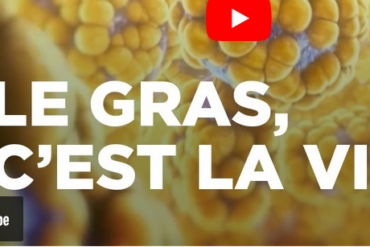 « Un monde obèse » sur Arte , replay